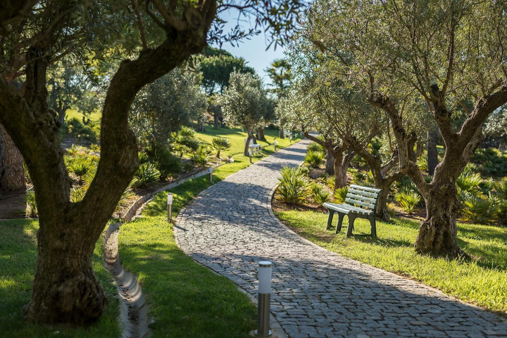 فندق Kimpton Atlantico Algarve By Ihg البوفيرا المظهر الخارجي الصورة Olive trees in the park